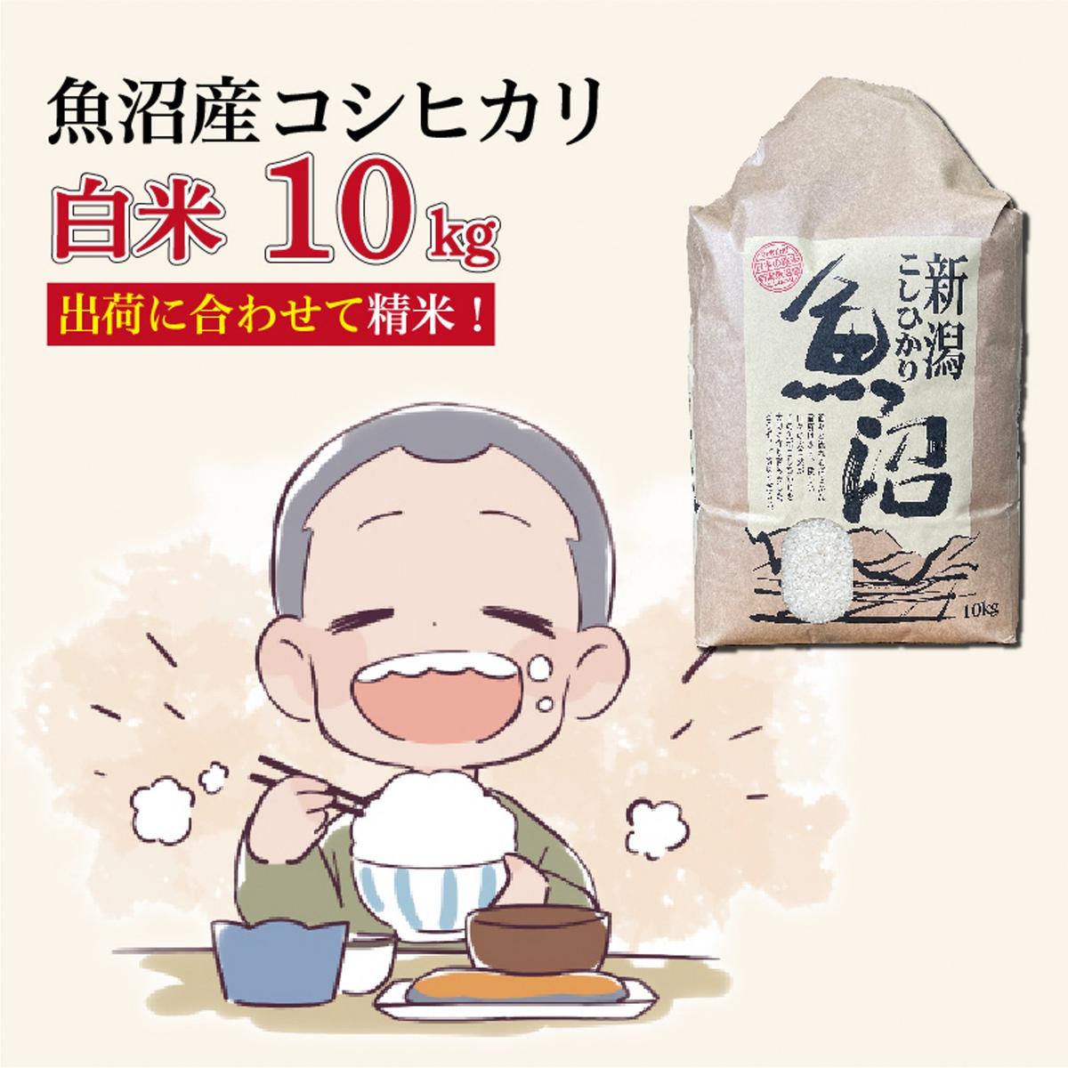 令和8年産新米 魚沼産コシヒカリ 精米10kg（新潟県十日町市