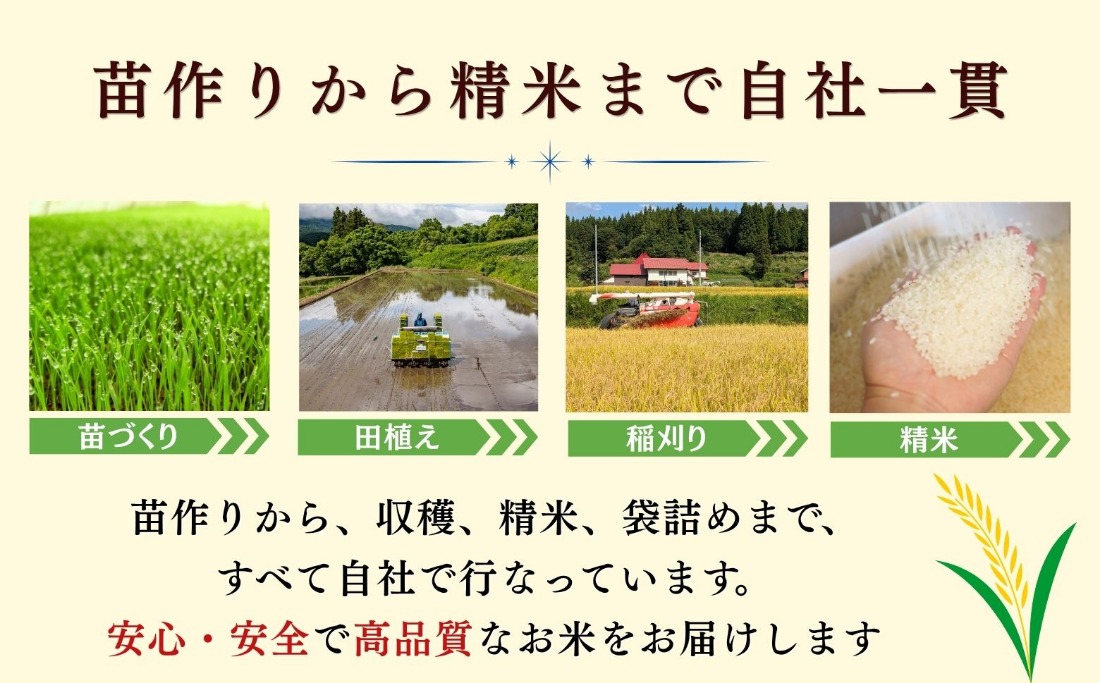 先行予約】《 令和8年産 新米 》 こしひかり 精米 20kg（5kg×4袋
