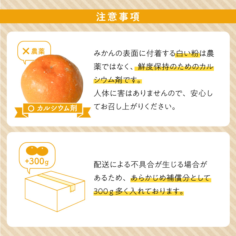 和歌山県産 有田みかん 化粧箱 約4.5kg Mサイズ【まごころ手選別