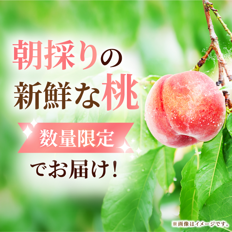 先行予約・数量限定】大子町産「桃」約3kg 品種おまかせ（あかつき
