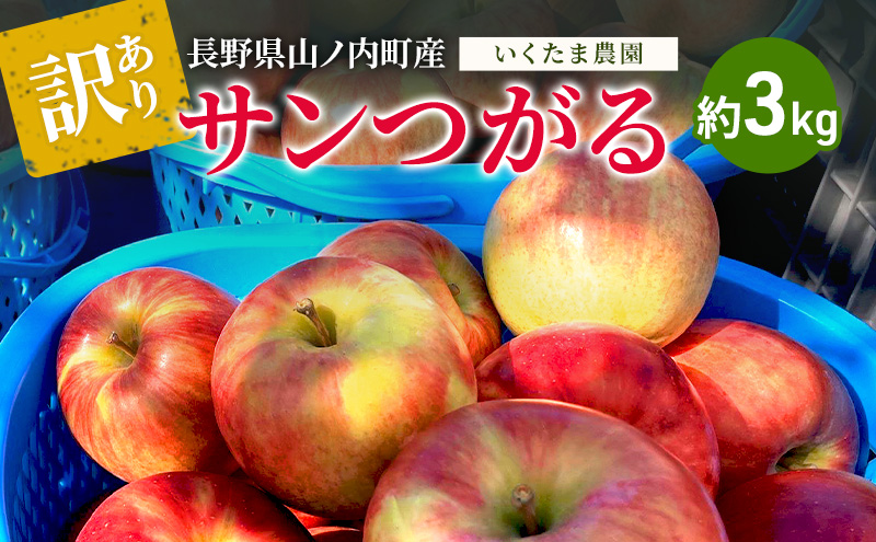 2026年8月～発送】訳あり サンつがる 約3kg リンゴ りんご フルーツ