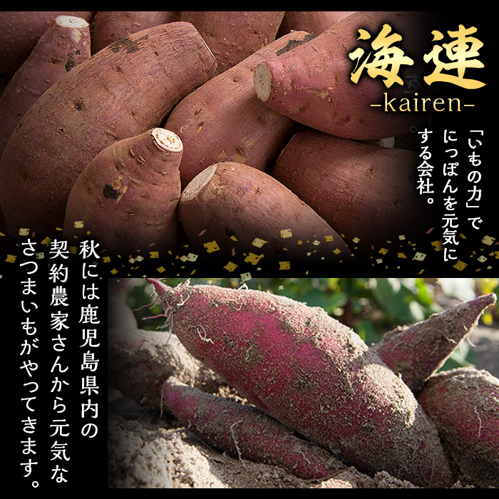 定期便・全6回(隔月)＞鹿児島本格芋焼酎「伊七郎」黒瀬安光作(計36本