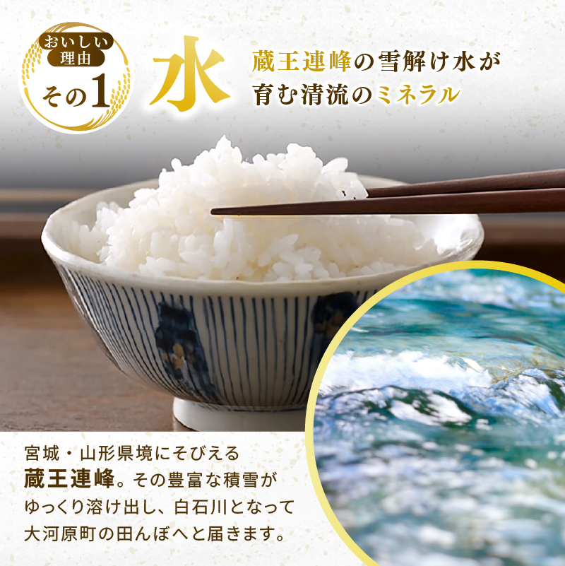 ひとめぼれ 定期便3回/5kg×2袋 令和8年産 新米 先行予約 宮城県産 米