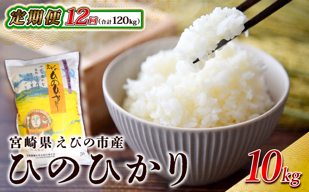 12回定期便】米 えびの産 ひのひかり 10kg×12ヶ月 合計 120kg 米 お米