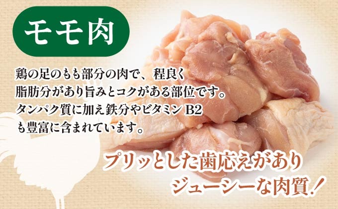 6b57edff-91ea-4bf0-80ed-