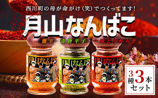 FYN9-528 山形県 西川町産 唐辛子使用！ 月山なんばこ 3種3本セット