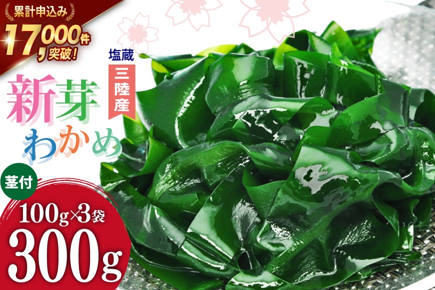 新わかめ入門 新わかめ入門 新わかめ入門 食品知識ミニブックスシリーズ 中古本
