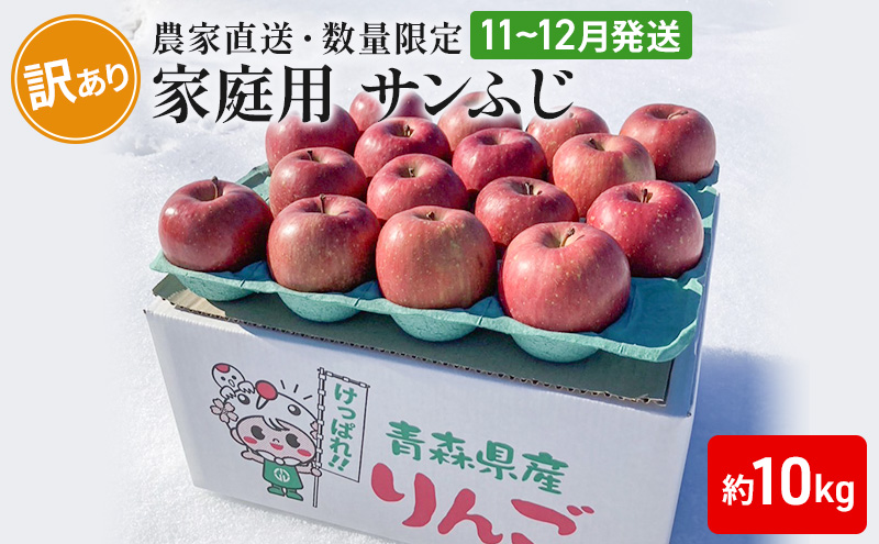 農家直送 数量限定 】 11～12月発送 家庭用 サンふじ 約 10kg 【 訳