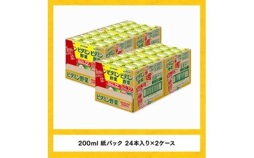 野菜ジュース 【3ヶ月定期便】伊藤園 栄養機能食品ビタミン野菜（紙