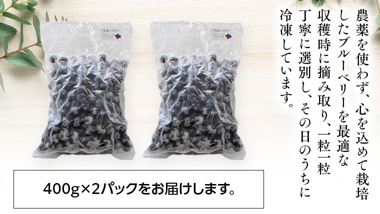 つくばみらい市 産 冷凍 ブルーベリー 800g ( 400g ×2パック ) 国産