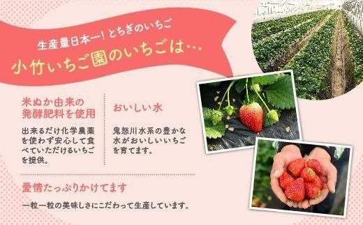 新旧2種食べ比べセット（とちおとめ、とちあいか）270g×4パック
