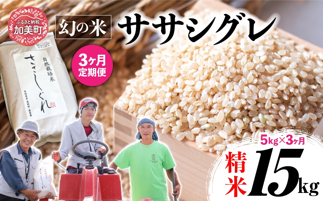 新米予約】《 希少品種米 》 米 令和8年 宮城県産 ササシグレ ( 栽培