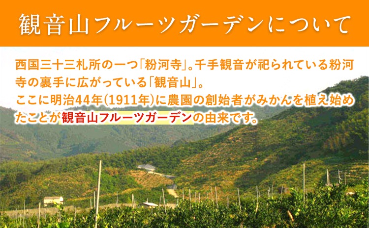 観音山ジェリー 「なちゅるん」 みかん味 150g入 1袋 みかん 有限会社