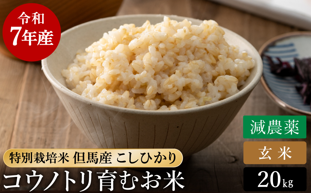 令和7年産 減農薬 玄米 特別栽培米 20kg コウノトリ育むお米 但馬産