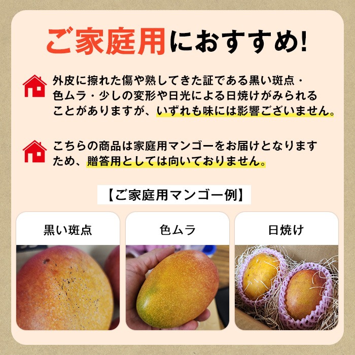 0105933a】物産館おススメ！東串良町産 丸ごと冷凍マンゴー(計800g・2