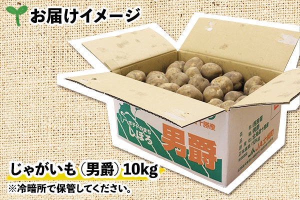 ジャガイモ　10kg箱 種芋　12 Amazon | 種芋 とうや 北海道産 じゃがいも 10kg S/Mサイズ