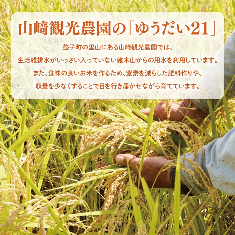 ☆ 令和8年☆ 米 5kg 白米 「ゆうだい21」 ＼山﨑観光農園 ／ 栃木県