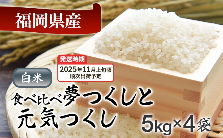 令和7年産 福岡県産米食べ比べ（白米）「夢つくし」と「元気