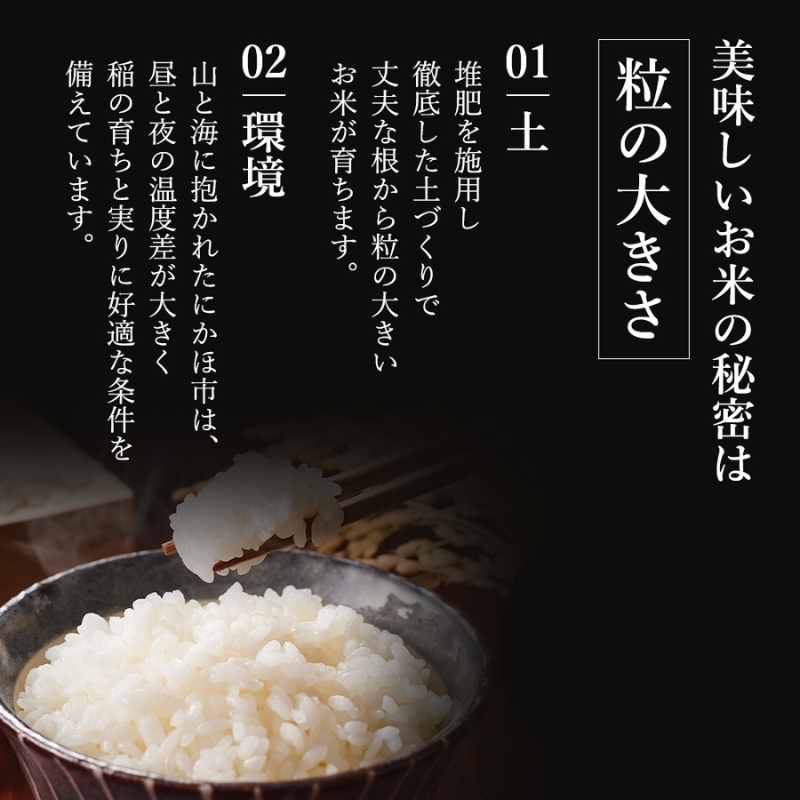 秋田県産 ひとめぼれ 5kg 令和7年産〈土づくり実証米〉JAしんせい