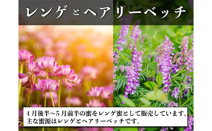 レンゲ はちみつ×1本 240gと 百花 はちみつ×1本 300g のセット 岡山県