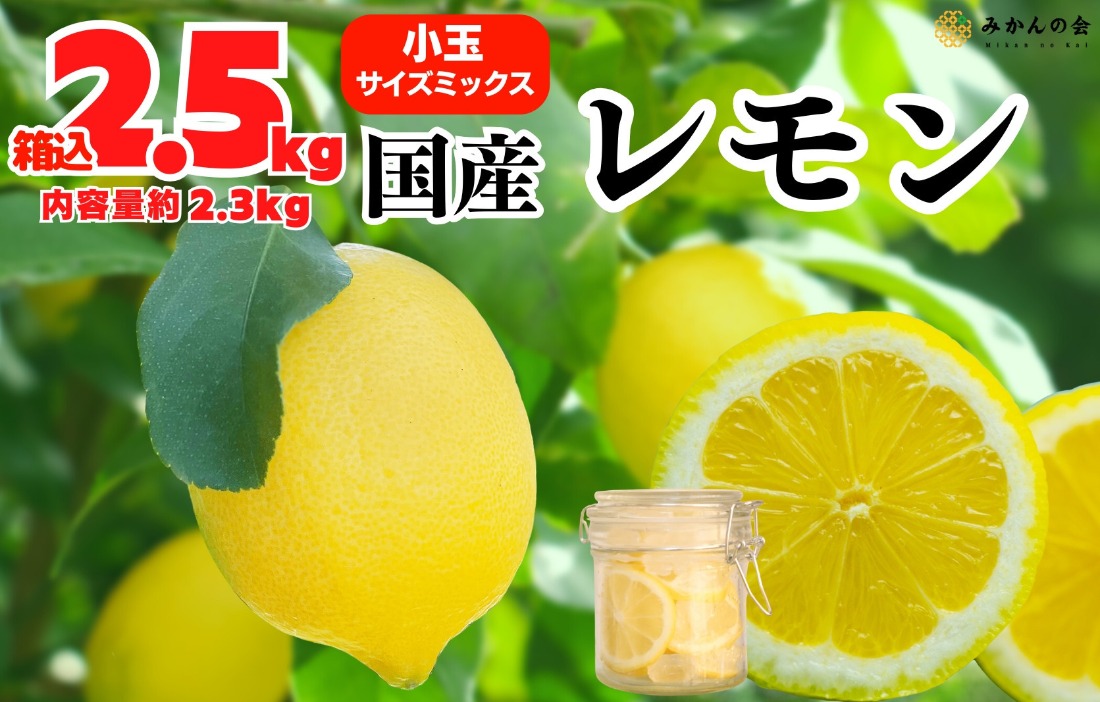 レモン 小玉 国産 箱込2.5kg(内容量約2.3kg) 秀品 S M L サイズ