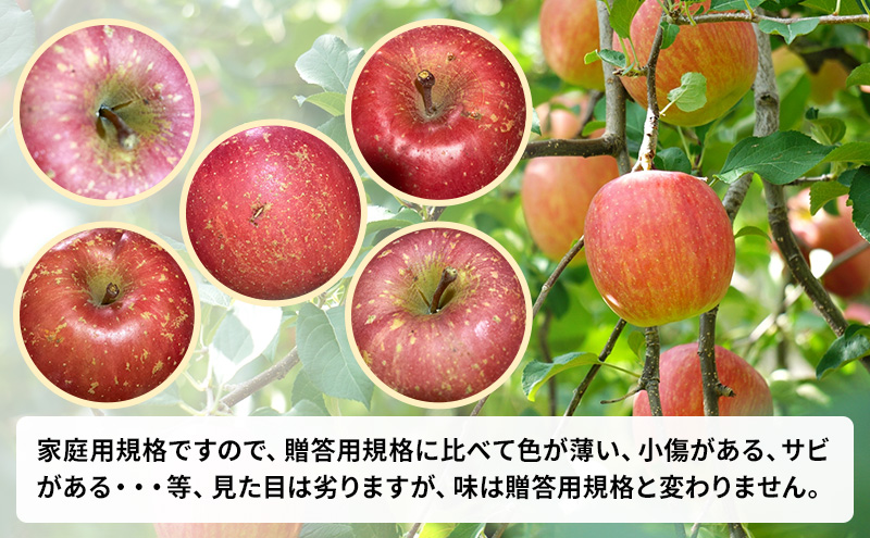 農家直送 数量限定 】 11～12月発送 家庭用 サンふじ 約 10kg 【 訳