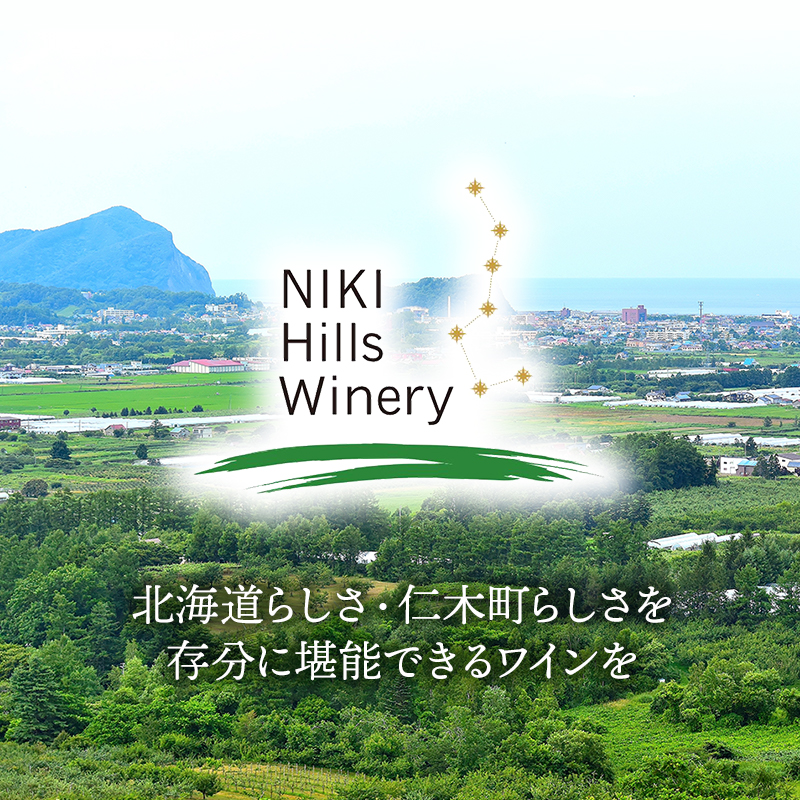 NIKI Hills Winery 白ワイン 【 はつゆき LATE HARVEST BARREL 2021