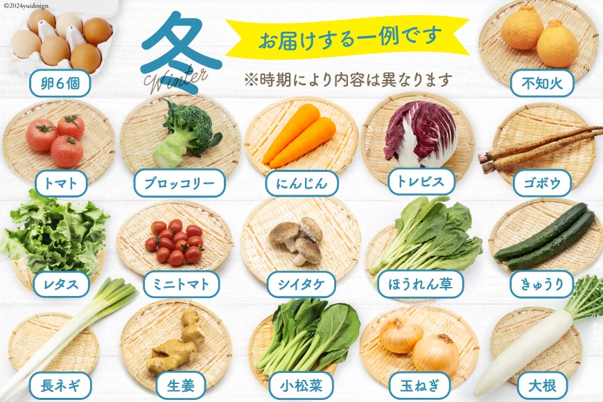 BD158 【3回定期便】 野菜・フルーツ・卵 旬のおまかせセット