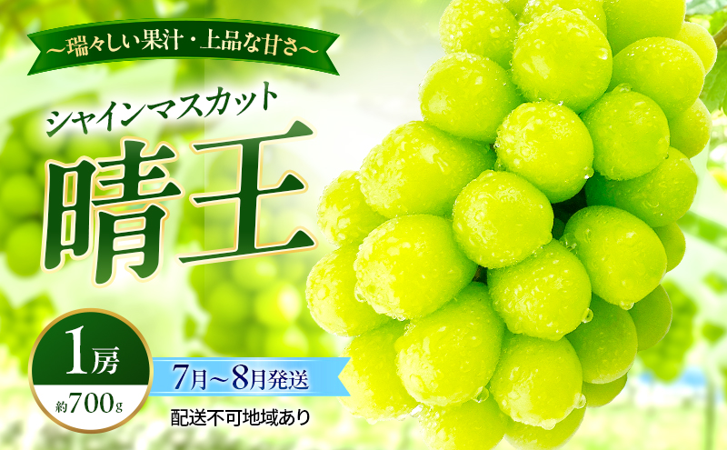ぶどう 2026年 先行予約 シャインマスカット 晴王 1房 約700g 7月～8月