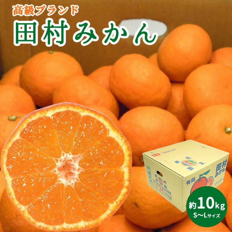 DN6015_【2026年先行予約】高級ブランド 田村みかん 秀品 10kg (S～L
