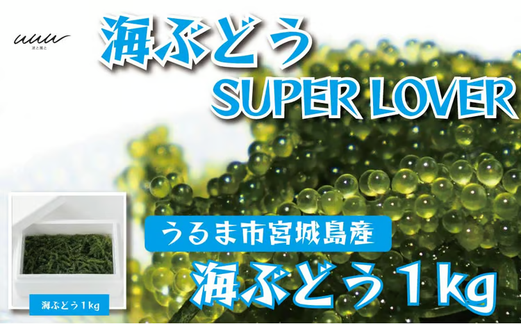 海ぶどうSuperLover 大容量1kgパック【2026年4月より順次発送】（沖縄