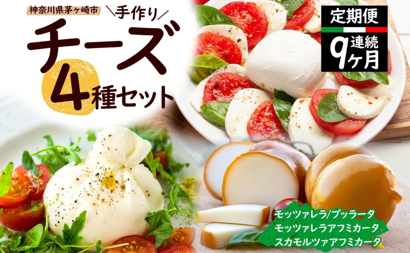 9ヶ月定期便】チーズ 4種 詰め合わせ 各1個 Osteria e Bottega S