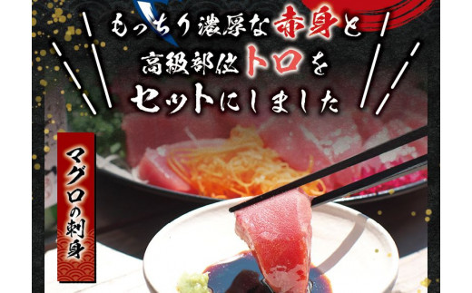 本マグロ（養殖）トロ＆赤身セット 240g 【配達日指定不可】高級