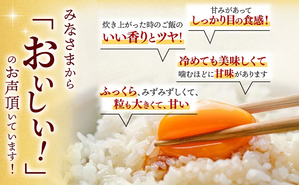 令和7年産】さがびより 精米 20kg(5kg×4袋)【特A受賞米 人気 佐賀県産