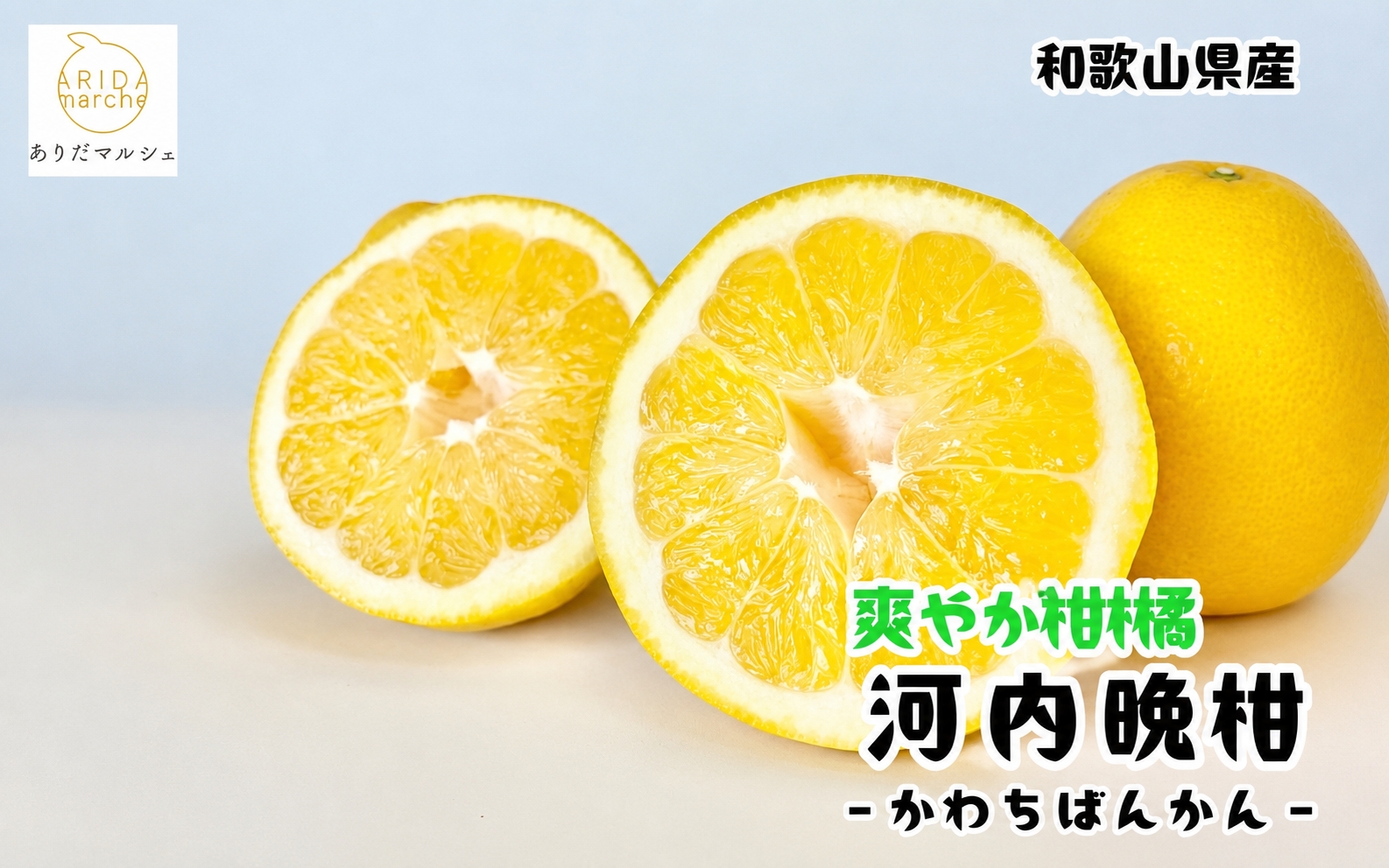 和製グレープフルーツ】有田育ちの河内晩柑(ご家庭用) 約7.5kg+200g