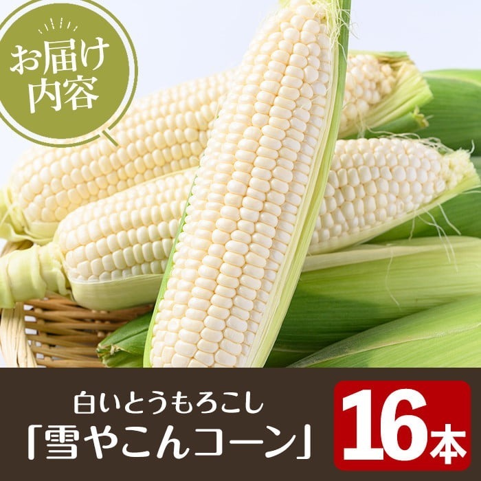 るんちゃん専用ホワイトとうもろこし６月発送予定‼️ imgrc0085767647.jpg