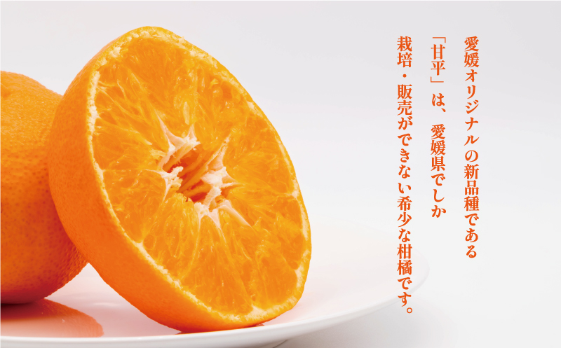 甘平5kg（愛媛県愛南町） | ふるさと納税サイト「ふるさとプレミアム」