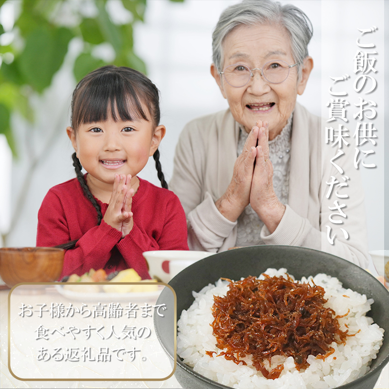 ごはんしらす　Nゲージ2セット ちりめん セット 500g 冷凍 無添加 しらす 佃煮 山椒 生姜 しらす