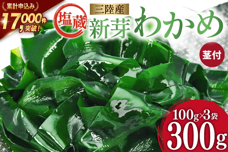 漁師さんからのおすそわけ】新芽わかめ 300g(約100g×3袋) [かわむら家