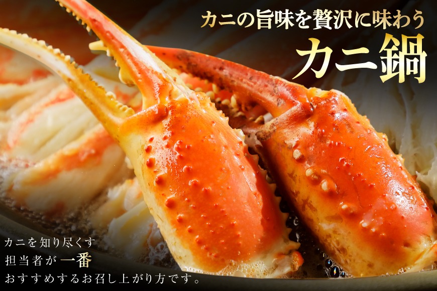 リピーター続出！ 本ずわいがに爪 約700g [カネダイ 宮城県 気仙沼市