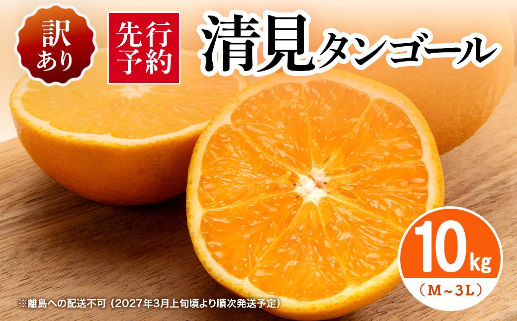 先行予約】【訳あり】清見タンゴール 10kg（M～3L）※離島への配送不可