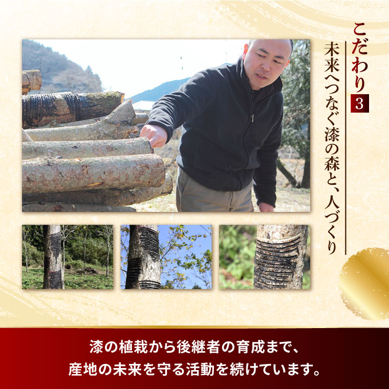 本物の器・大子漆八溝塗 お椀・角盆セット｜茨城県 大子町 漆器 漆塗り