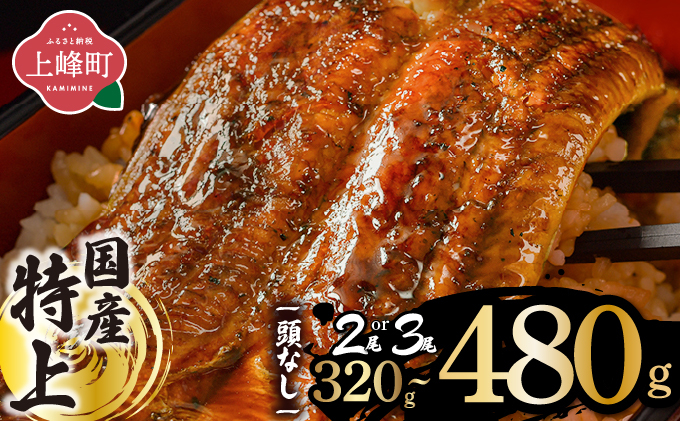選べる容量】国産うなぎ蒲焼200g×2尾/160g×3尾/2尾（無頭）| 鰻 うなぎ