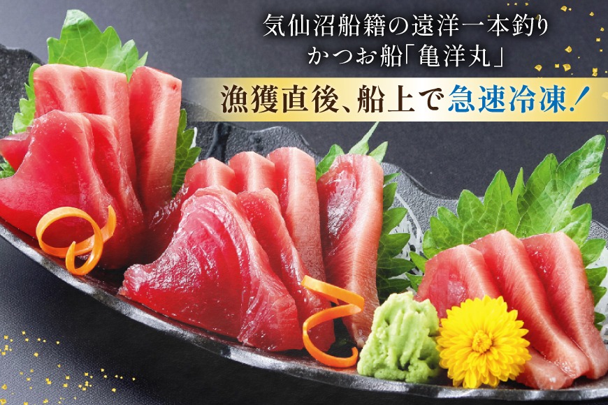 カツオさま専用 みなさまこんにちは!! 犬市場 in Okazaki 2025 Autumn ご出店者