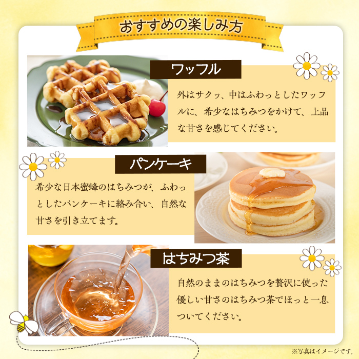 数量限定！日本蜜蜂 はちみつ(300g) 国産 蜂蜜 ハチミツ 日本ミツバチ