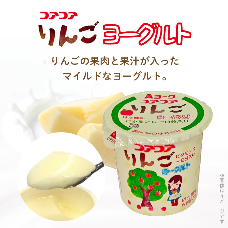 6ヶ月定期便】愛知ヨーク コアコアいちご・コアコアりんご 20個入