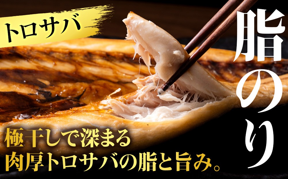 赤身２点中トロ塩筋子 鮭トバ３点 ばばさま 至高の極干セット】 特大とろさば・秋刀魚・大とろ鮭 各2枚ずつ SH011