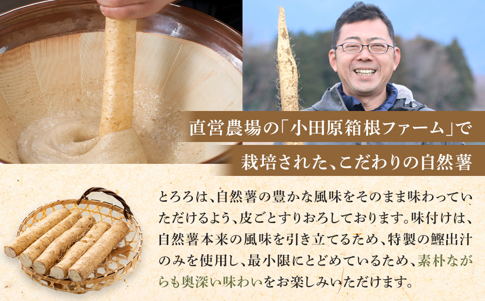 お店の味をご家庭で。【箱根自然薯の森 山薬】自然薯セット(2～3人前×2