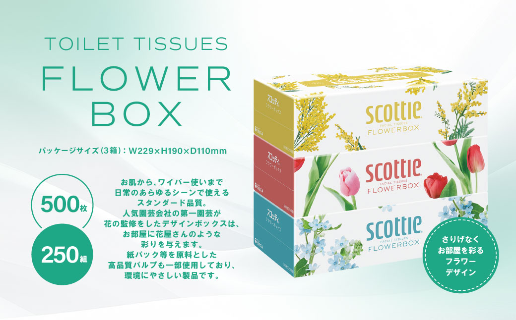 スコッティ】 ティシュー フラワーボックス 250組 3箱 ティッシュ