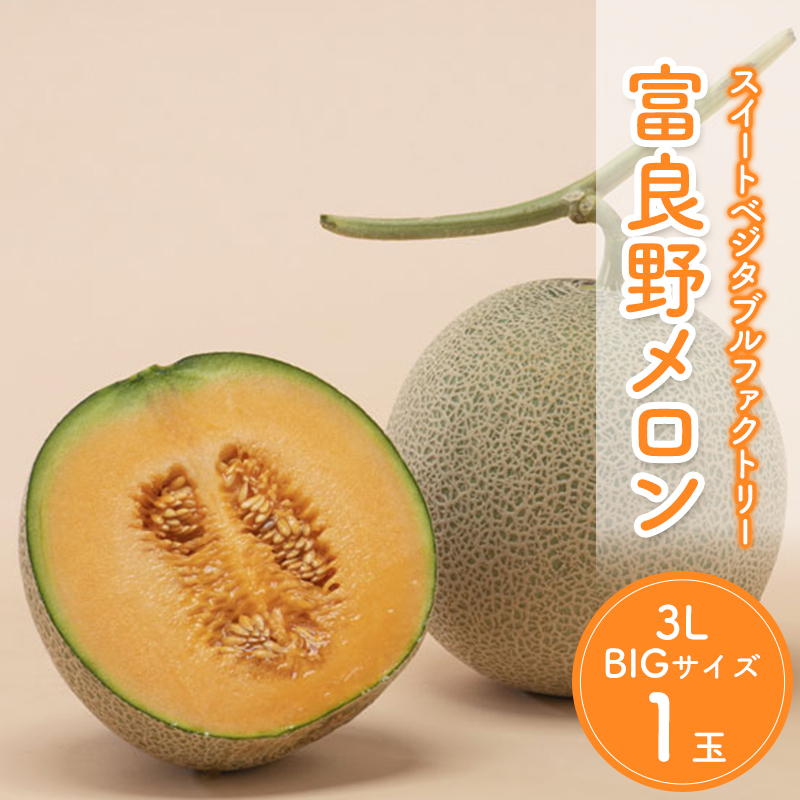 2027年夏発送】北海道 富良野 メロン 3Lサイズ 約2kg×1玉 フルーツ